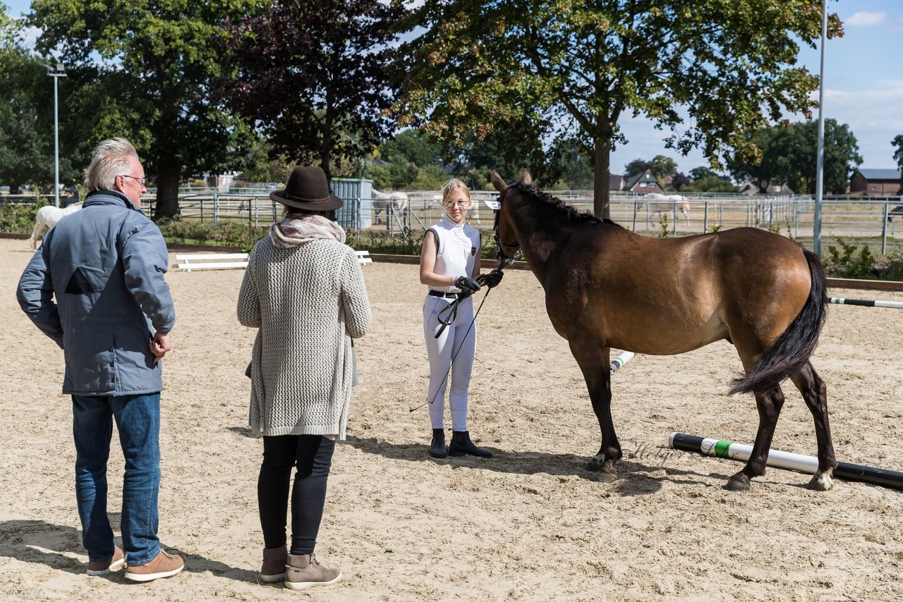 Bild 50 - Pony Akademie Turnier